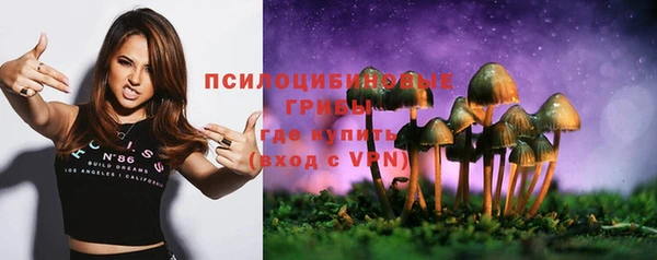 2c-b Лиски