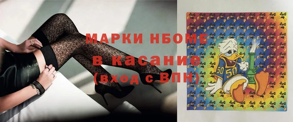 шишки Майский